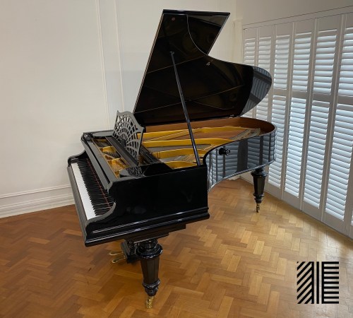 C. Bechstein Model B Pianodisc for sale