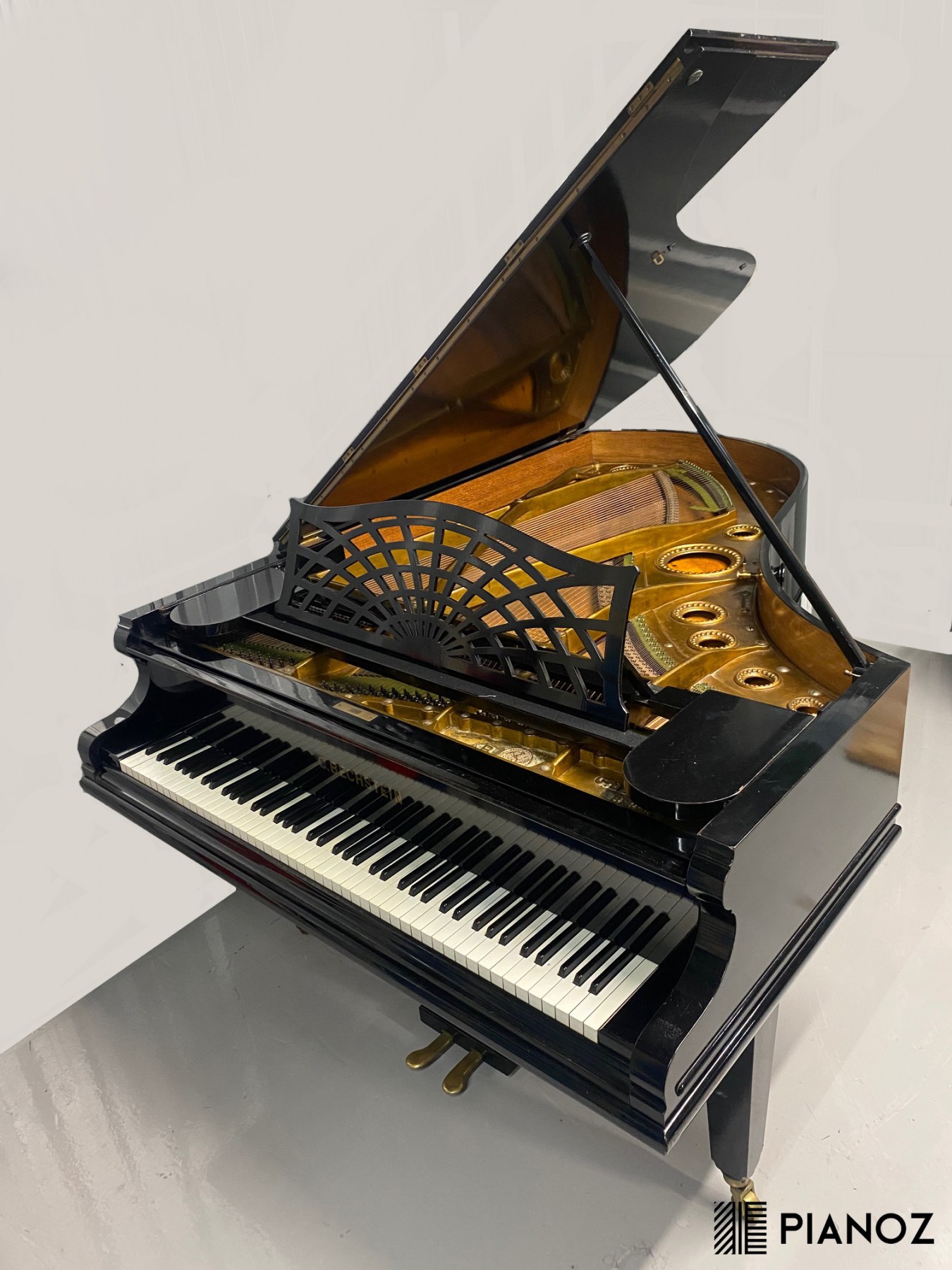 Bechstein model store b